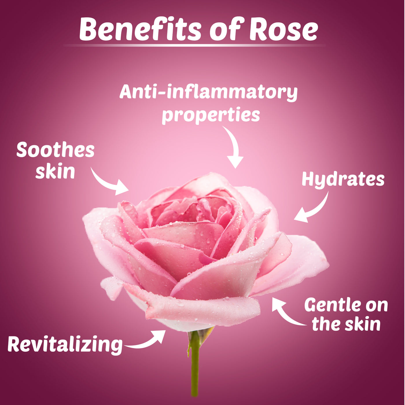 Hydrating Rose Sleeping Mask with Power Of Serum| Dermatologically Tested for Sensitive skin | Made from Chaitri Roses