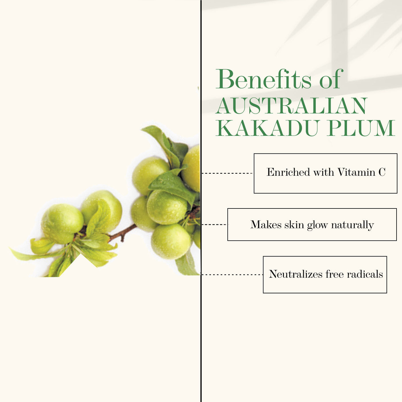 Good Vibes Kakadu Plum Radiance Night Cream (50 g) - 4