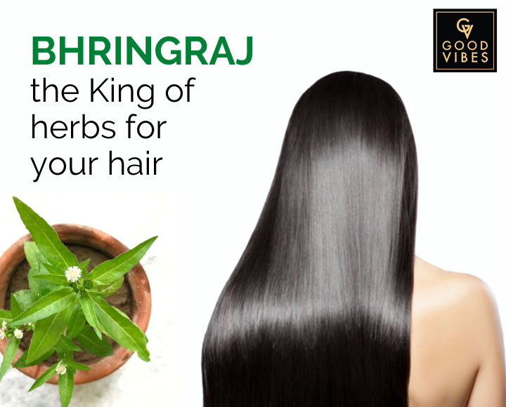 Bhringraj: The King of herbs for your hair