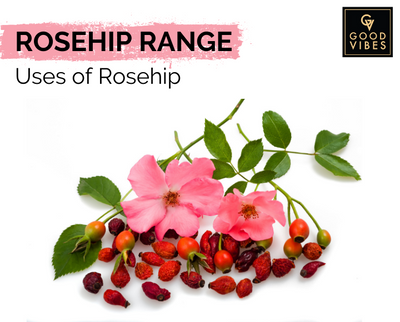 Top 5 Amazing Benefits of Rose hips for Your Skin