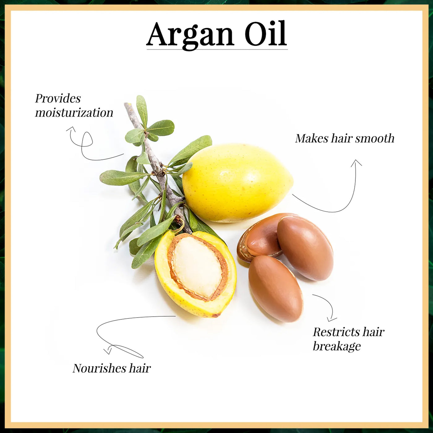 Argan Oil Hair Serum for Frizz Control