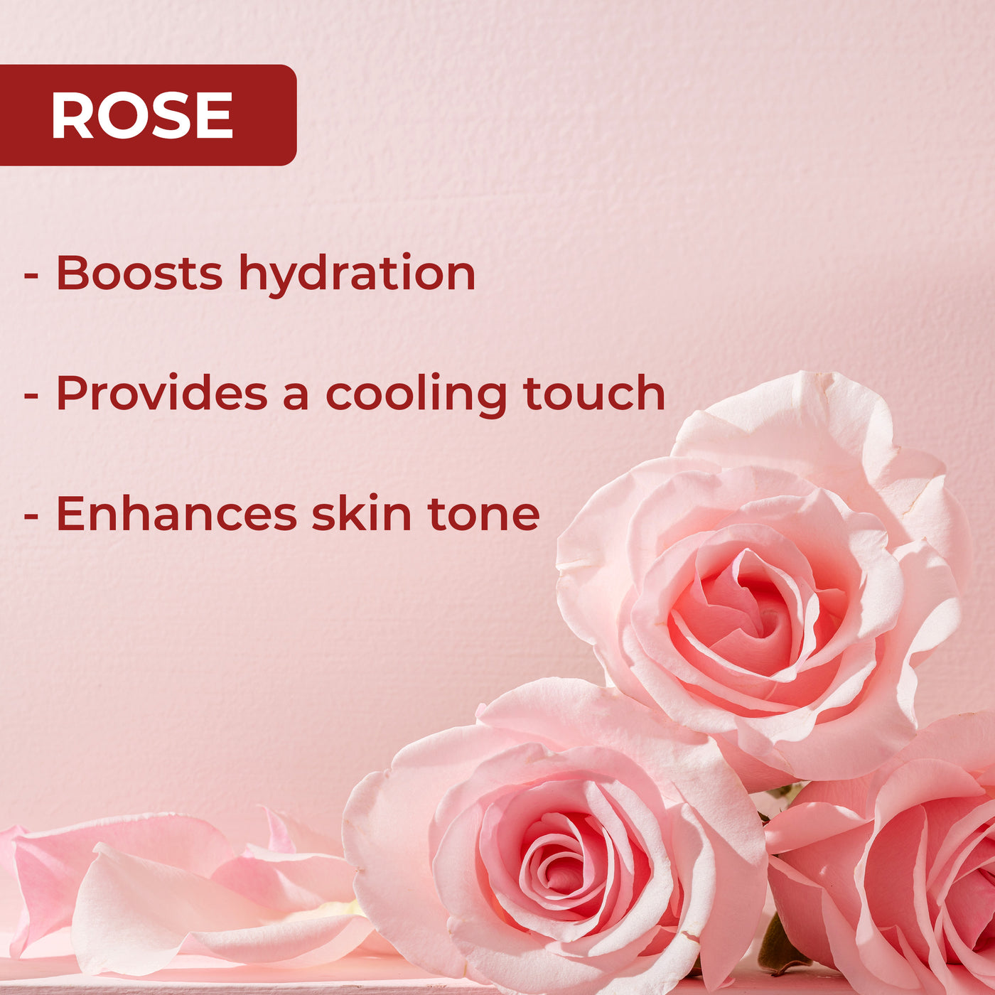 Rose Moisturizing Body Lotion