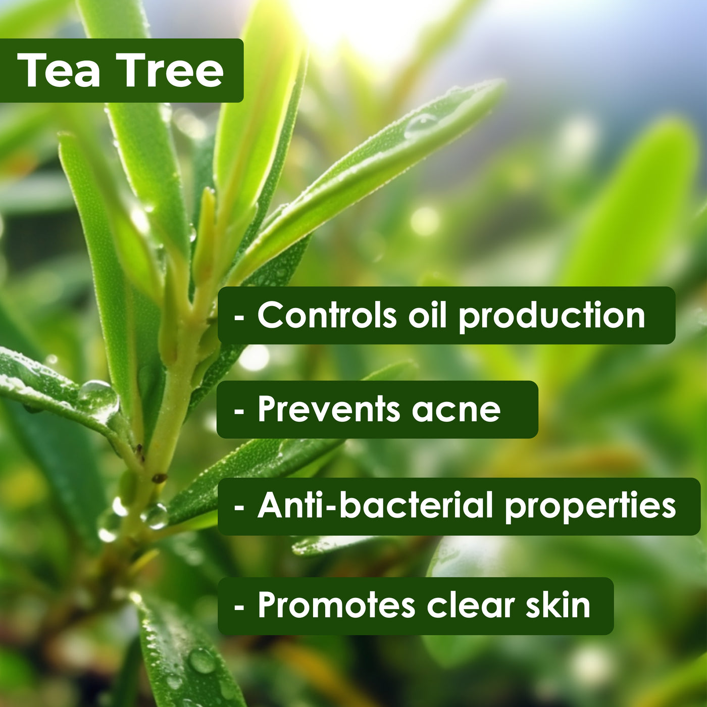 Acne Control Tea Tree Face Mask