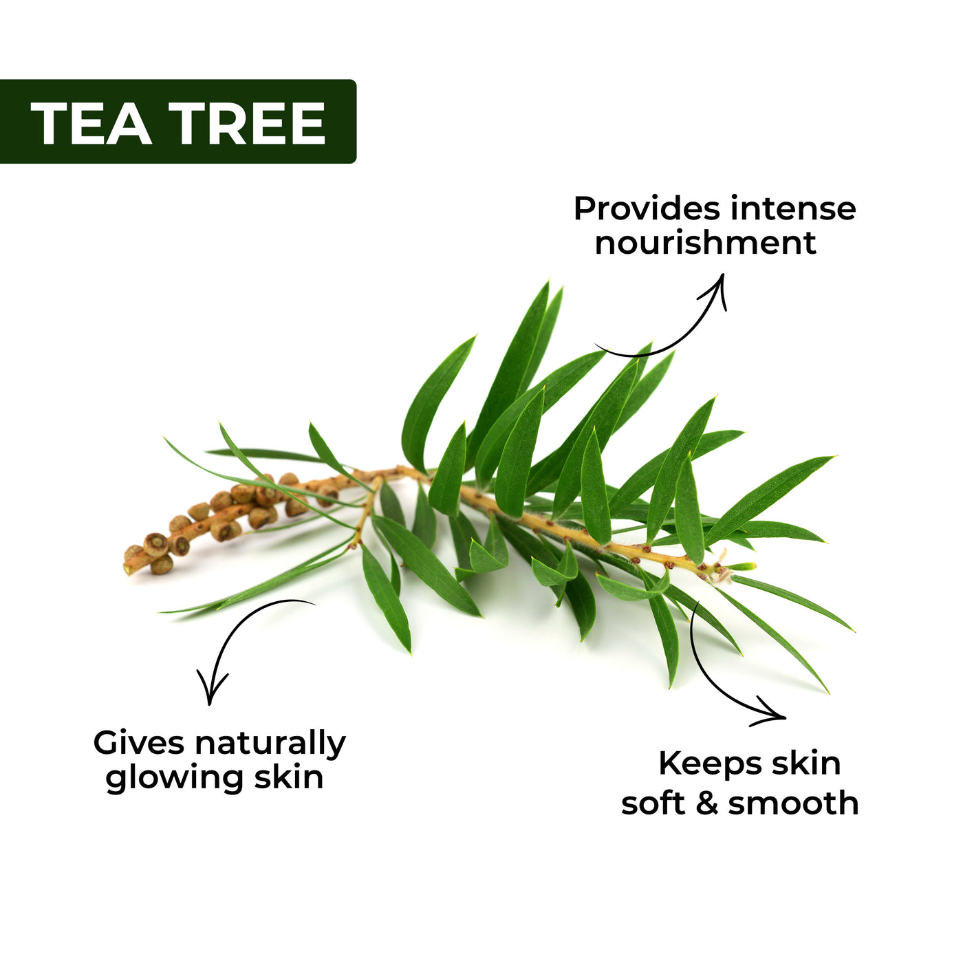 Acne Control Tea Tree Toner 150ml