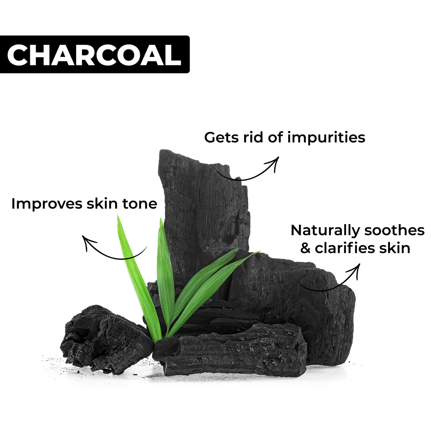 Skin Purifying Activated Charcoal Face Scrub (80g)