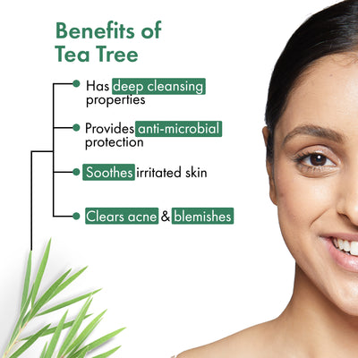 Acne Control Tea Tree Foaming Face Wash