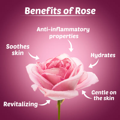Hydrating Rose Face Cream with Power Of Serum|Dermatologically Tested for Sensitive skin | Made from Chaitri Roses