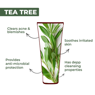 Acne Control Tea Tree Facewash (100ml)