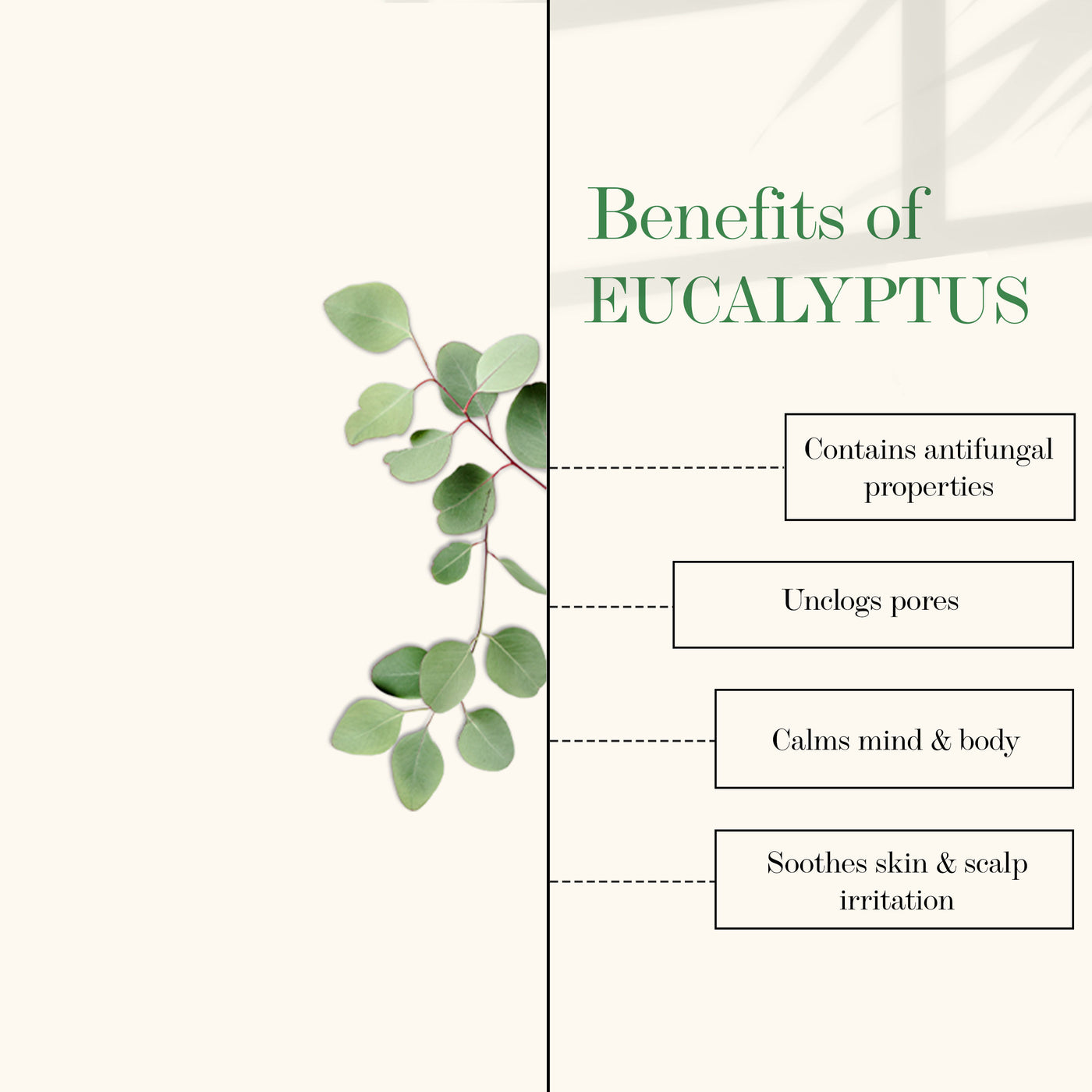 good-vibes-100-percentage-pure-eucalyptus-essential-oil-10-ml-1-71-3