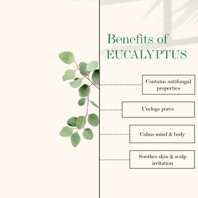 good-vibes-100-percentage-pure-eucalyptus-essential-oil-10-ml-1-71-3