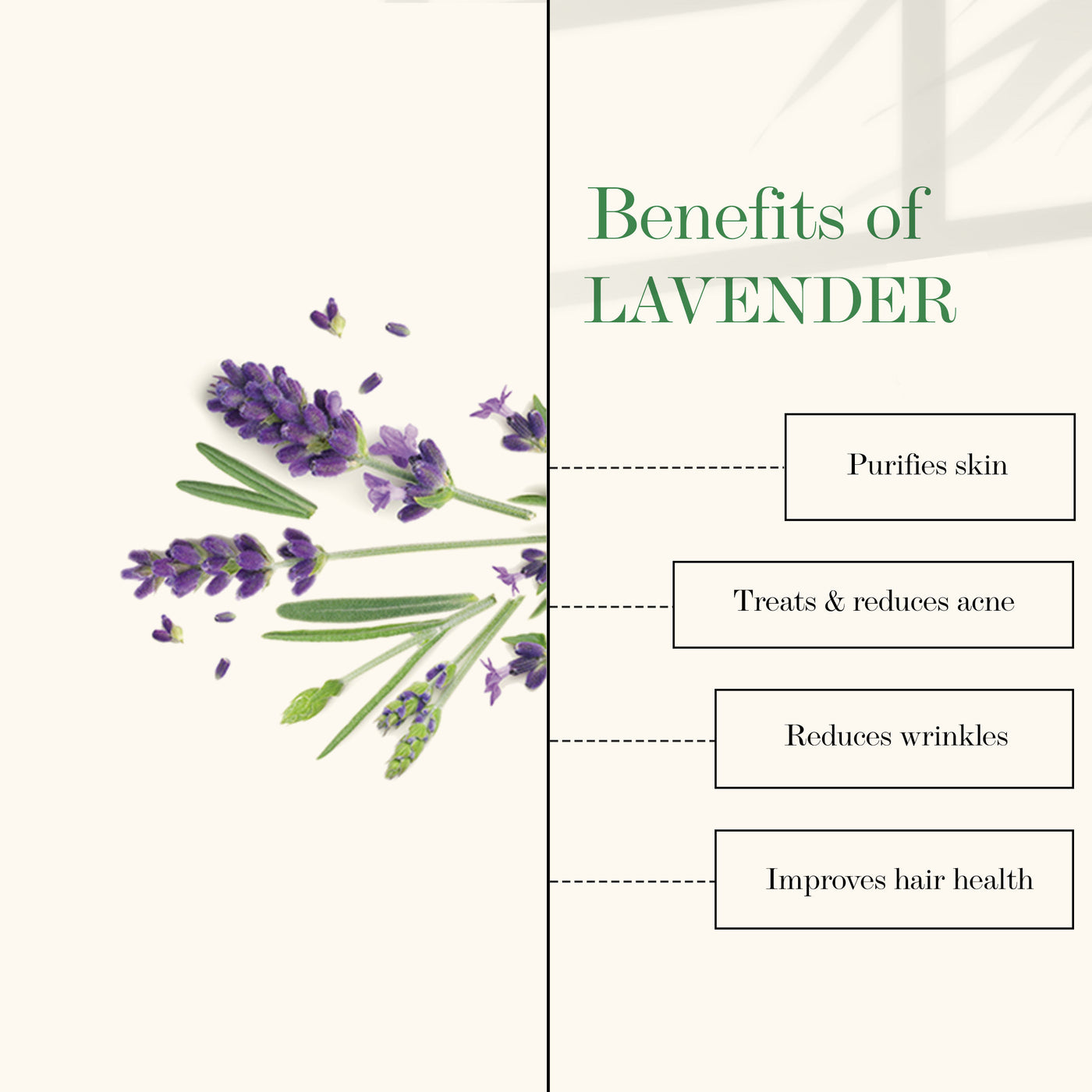 good-vibes-100-percentage-pure-lavender-essential-oil-5-ml-2-3