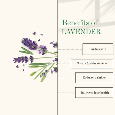 good-vibes-100-percentage-pure-lavender-essential-oil-5-ml-2-3