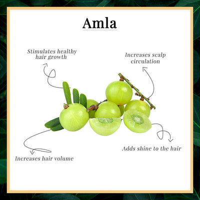 Good Vibes Amla Shikakai Strengthening Hair Mask (200g) - 2