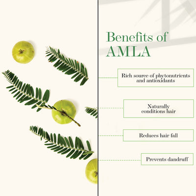Good Vibes Amla & Shikakai Strengthening Conditioner (120 ml) - 3