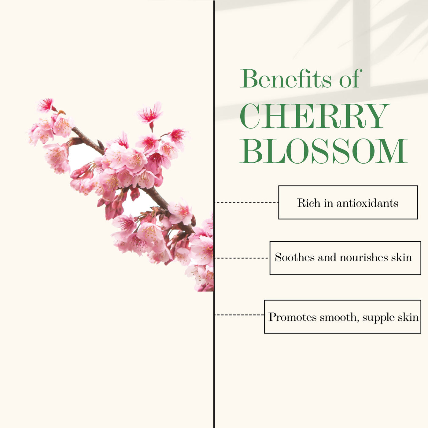 Good Vibes Cherry Blossom Softening Body Butter (100g) - 3