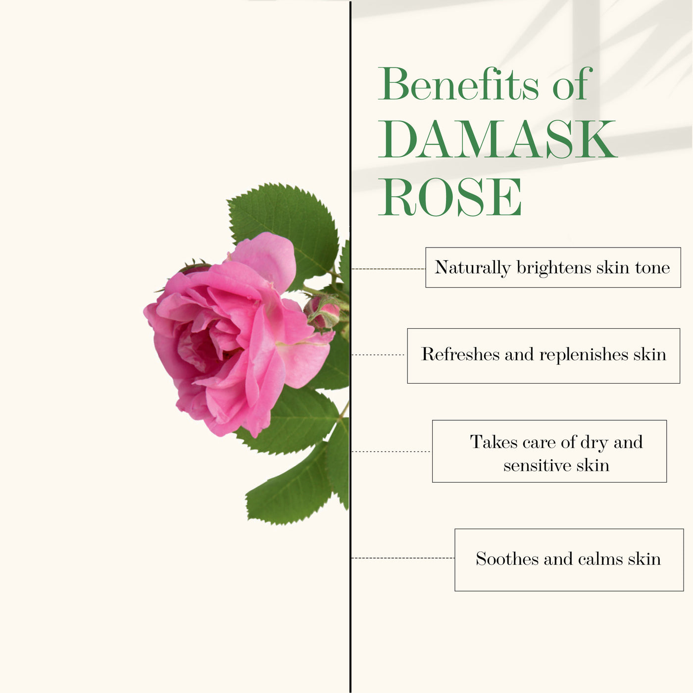good-vibes-damask-rose-hydrating-hand-cream-50-gm-12-4