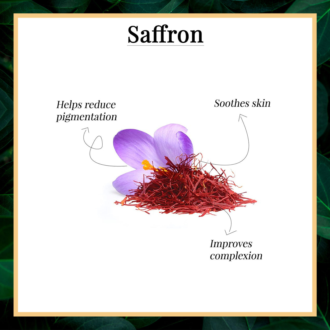 Good Vibes Facial Essence - Saffron 10 ml - 2