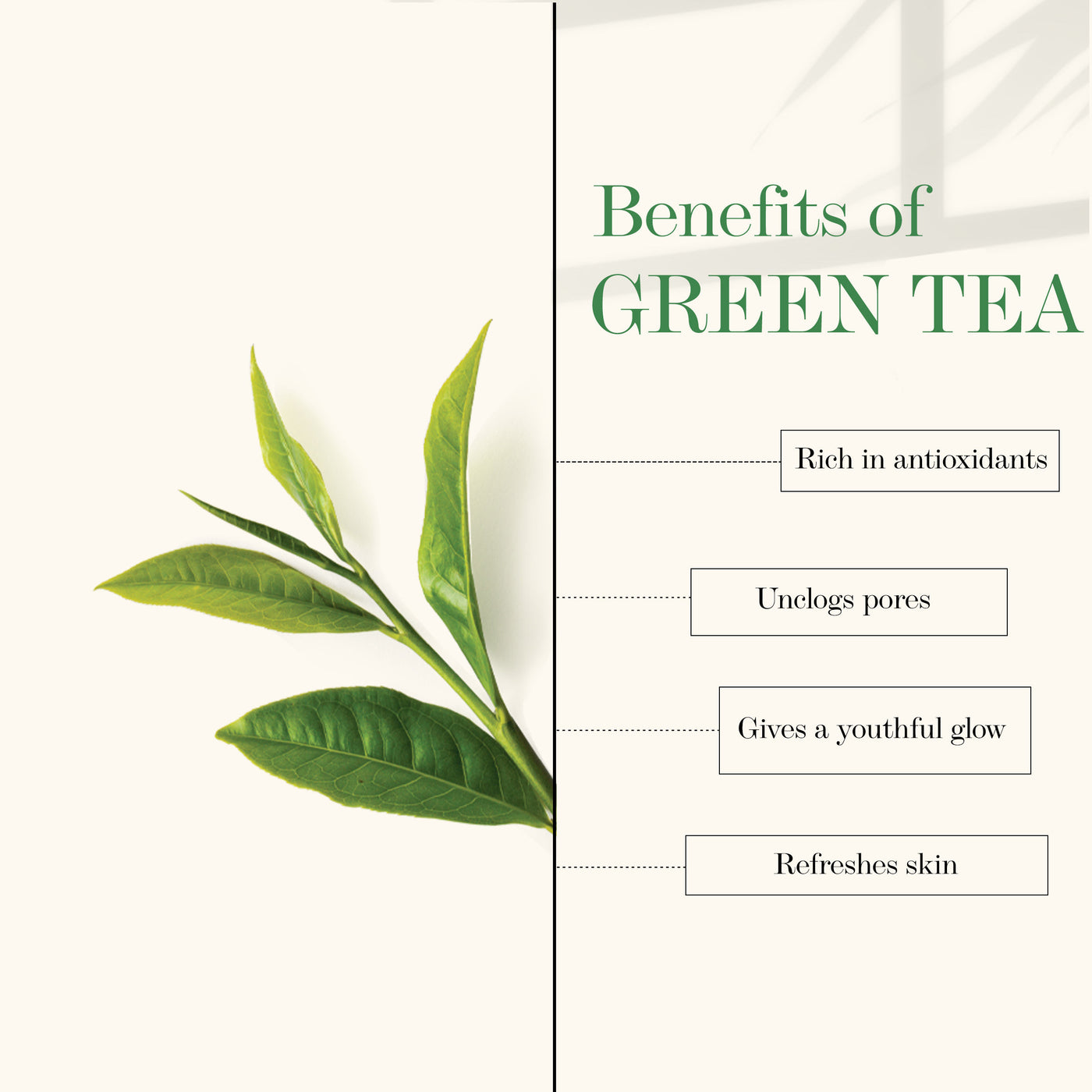 good-vibes-green-tea-purifying-light-gel-cream-50-g-3
