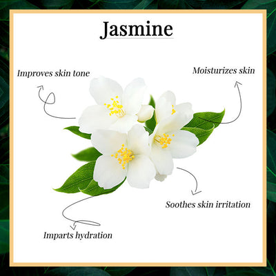 Good Vibes Jasmine Moisturizing Handmade Soap Bar (Pack of 3) - 100g x 3 - 2