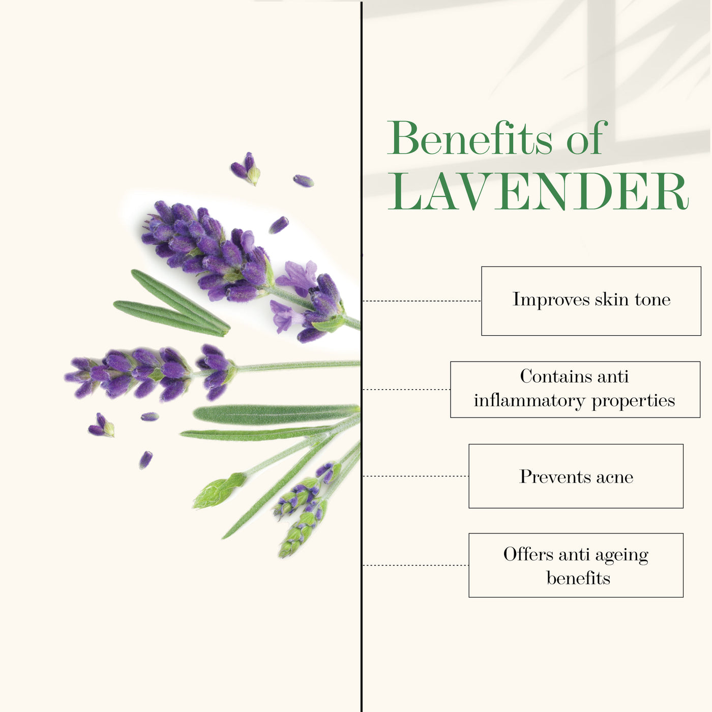 good-vibes-lavender-softening-body-lotion-400ml-100-ml-free-1-16-91-3