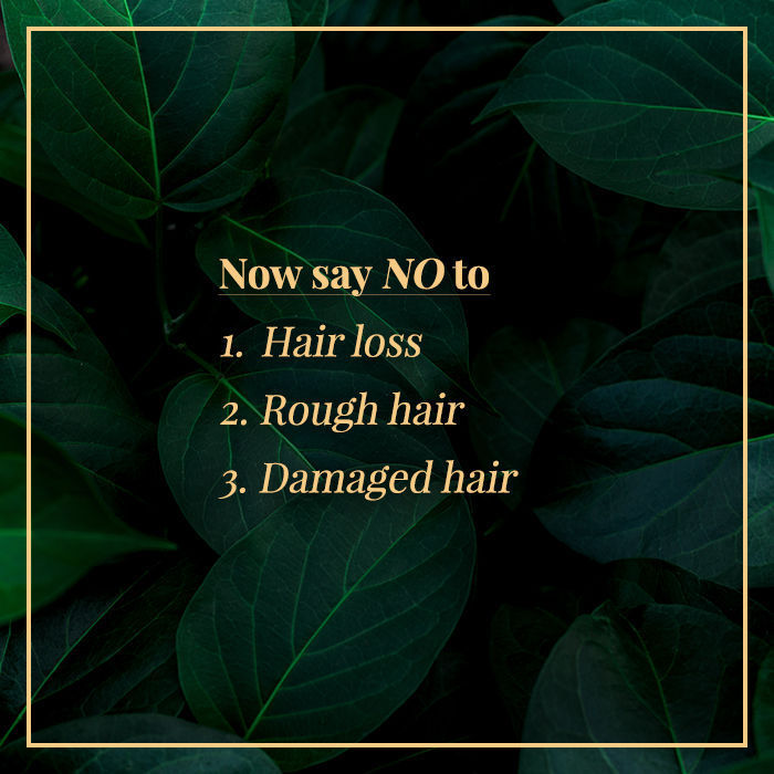 good-vibes-onion-hairfall-control-shampoo-with-keratin-for-shine-corn-for-hair-health-wheat-protein-for-strength-and-soy-for-moisture-200-ml-1-15-6