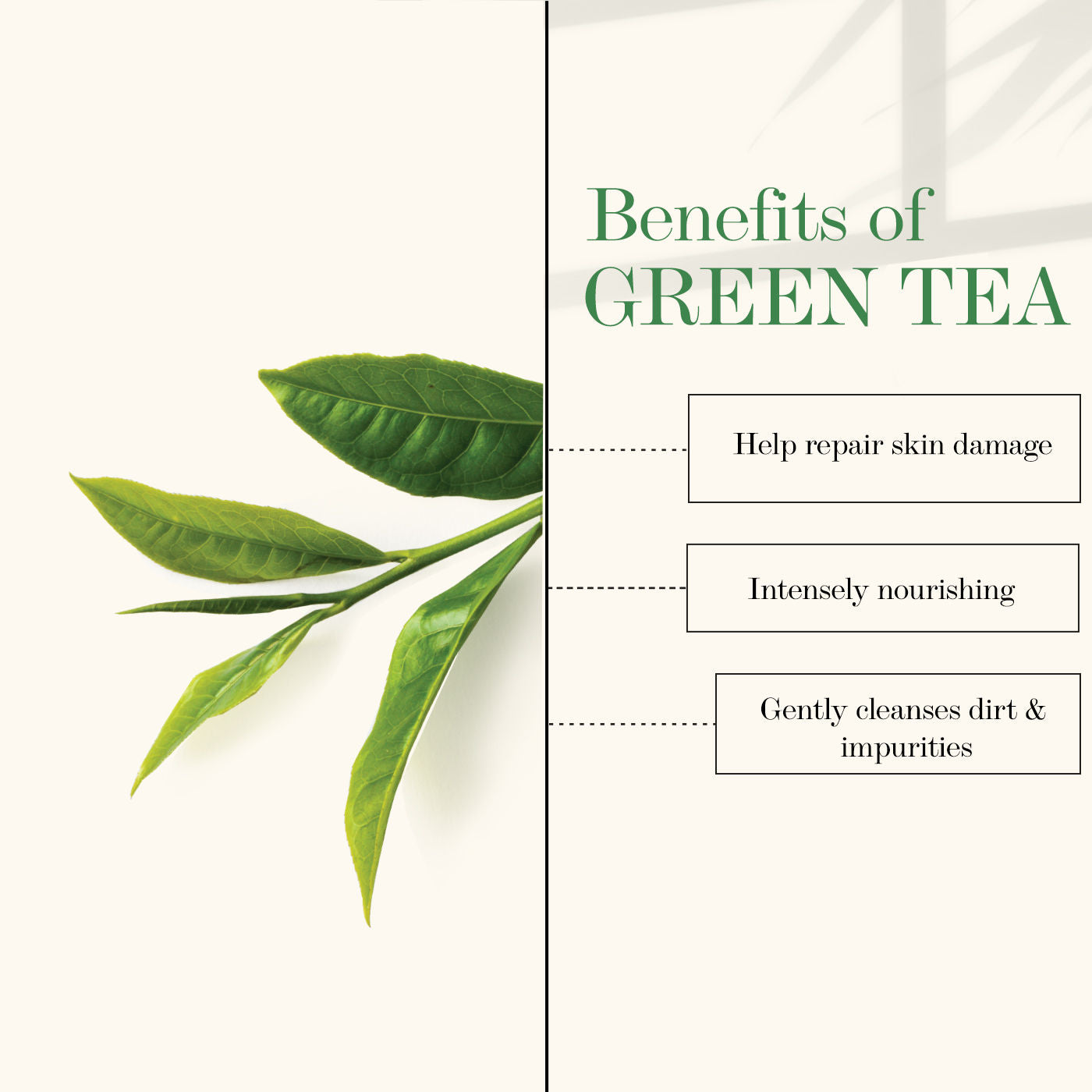 good-vibes-rejuvenating-face-mask-green-tea-50-g-14-4