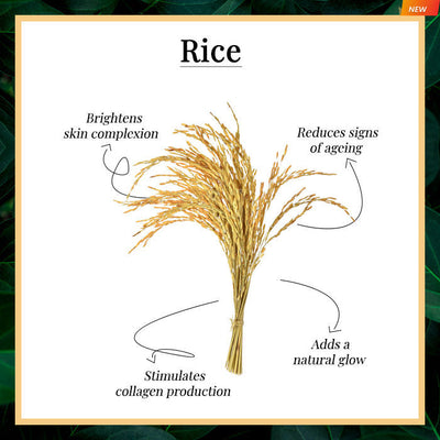 Good Vibes Rice Brightening Toner (120ml) - 2