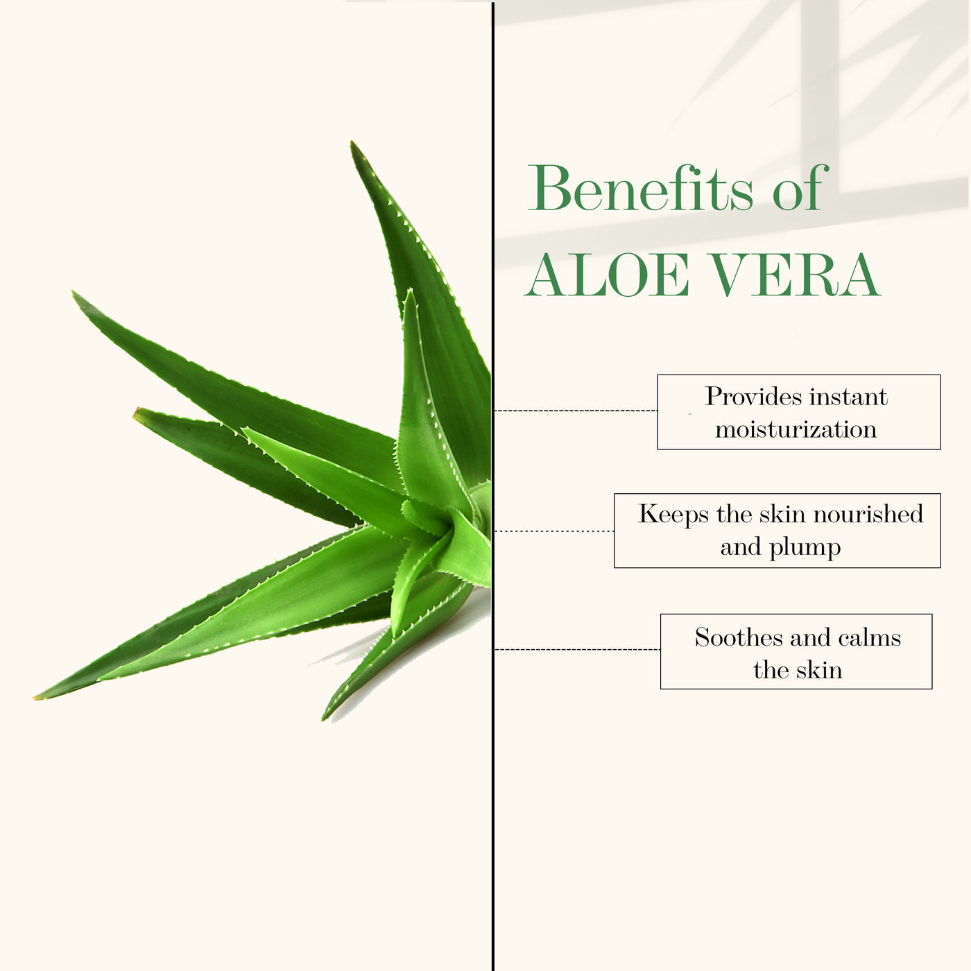 good-vibes-shea-butter-aloe-vera-nourishing-soothing-night-cream-moisturizing-soothing-no-parabens-no-sulphates-no-mineral-oil-50-gm-4