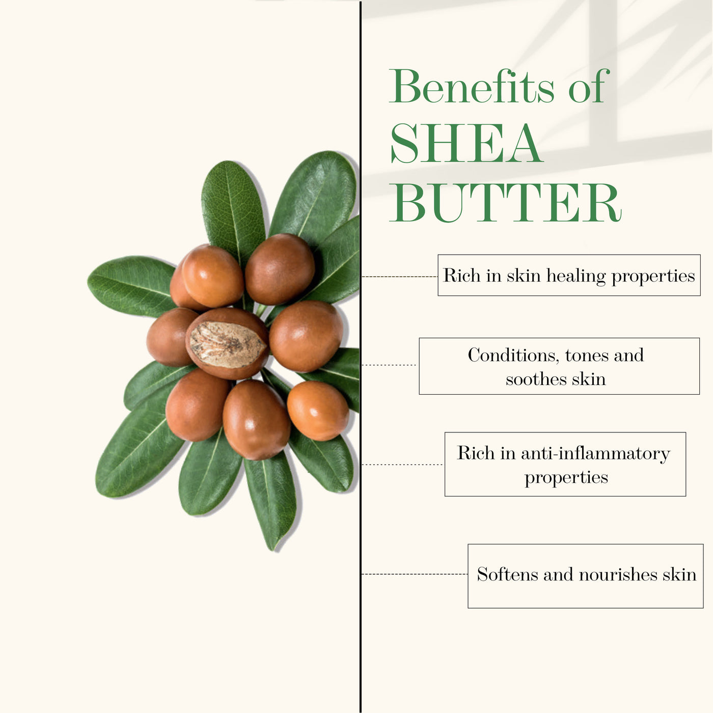 good-vibes-shea-butter-moisturizing-hand-cream-50-gm-31-4