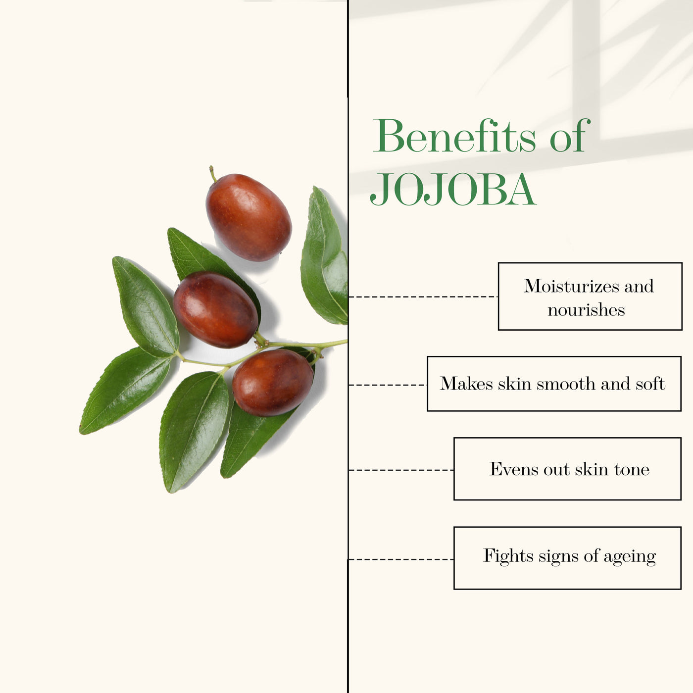 good-vibes-skin-balancing-facial-oil-jojoba-10-ml-2-3