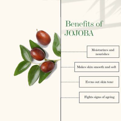 good-vibes-skin-balancing-facial-oil-jojoba-10-ml-2-3