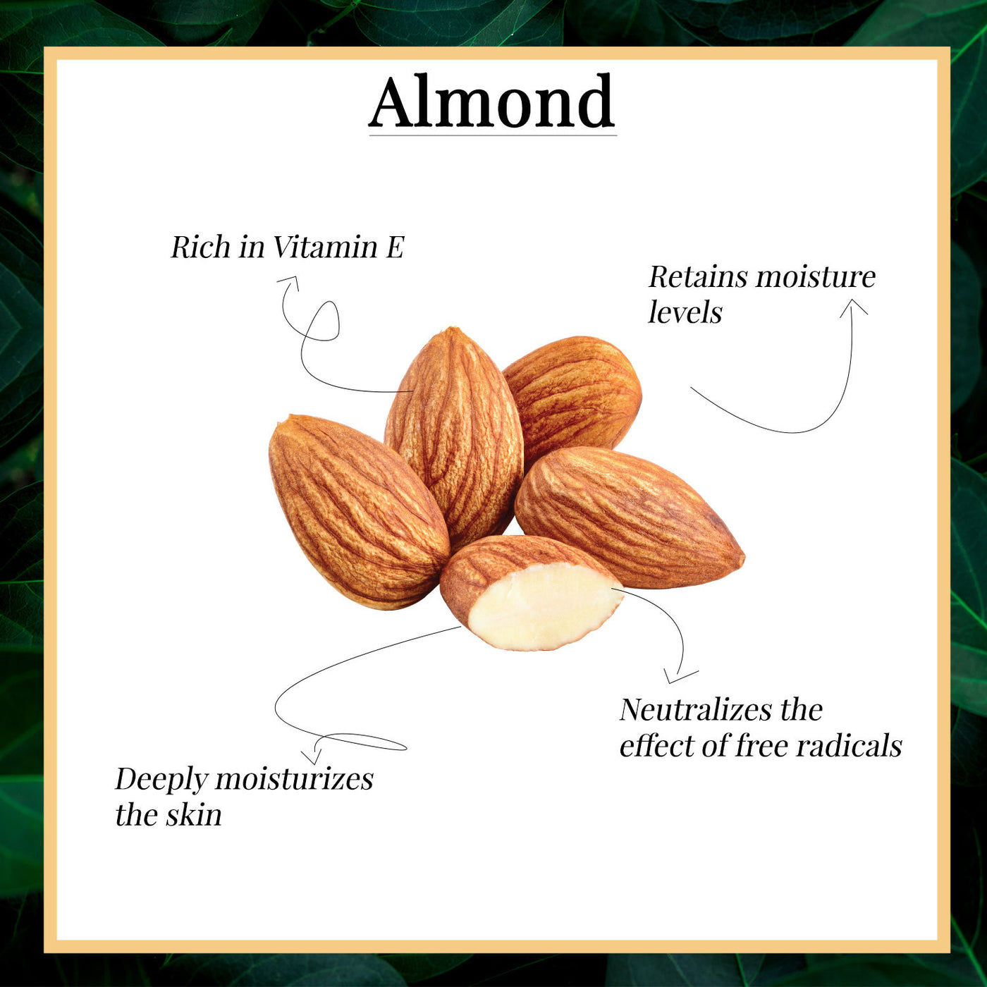Good Vibes Skin Brightening Facial Oil - Almond (10 ml) - 3