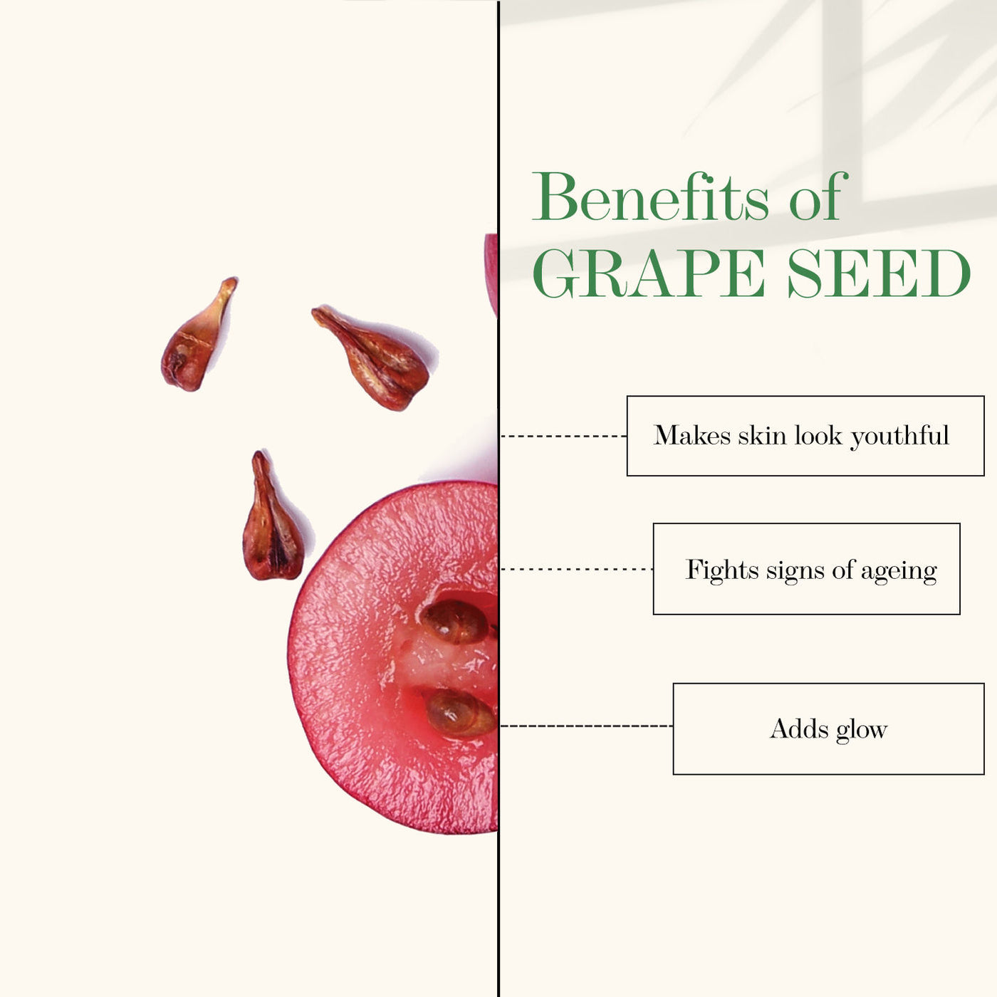 good-vibes-skin-tightening-facial-oil-grape-seed-10-ml-1-45-2