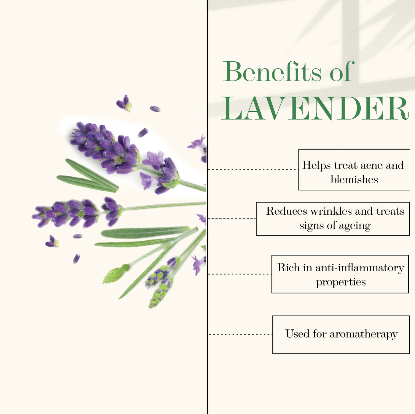 good-vibes-soothing-shower-gel-lavender-200-ml-2-3