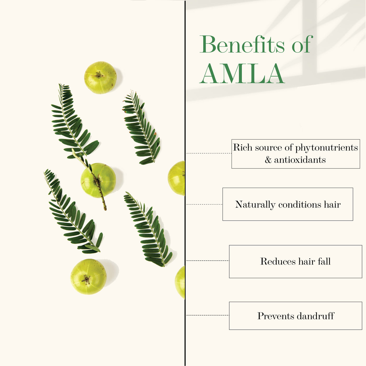 good-vibes-strengthening-shampoo-amla-shikakai-200-ml-2-19-12-4