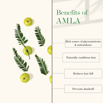 good-vibes-strengthening-shampoo-amla-shikakai-200-ml-2-19-12-4
