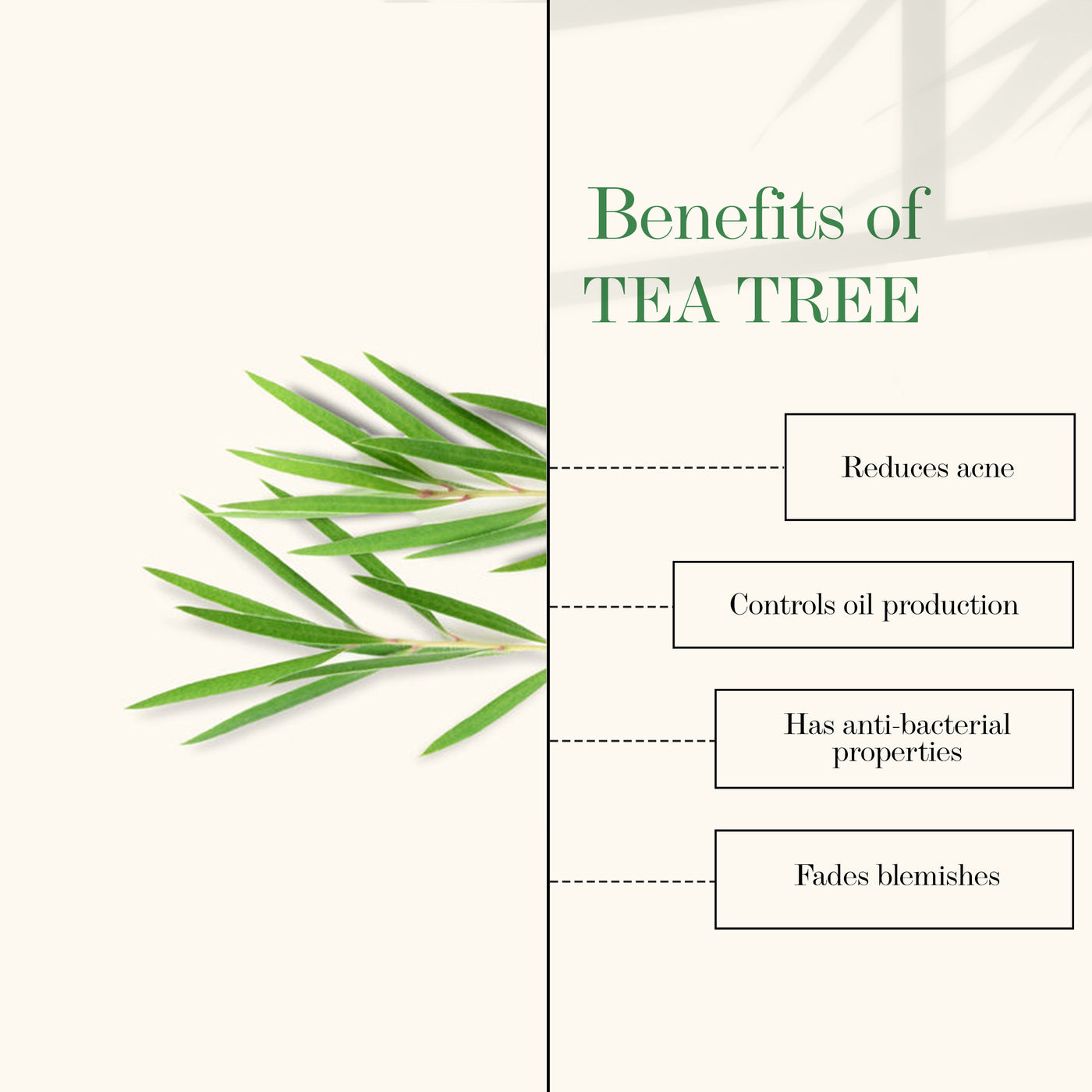 good-vibes-tea-tree-and-papaya-oil-control-face-serum-10-ml-90-4