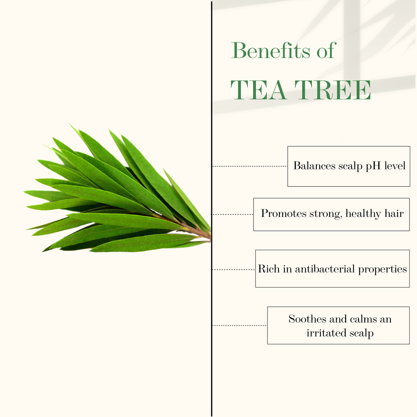 good-vibes-tea-tree-and-rosemary-anti-dandruff-hair-oil-100-ml-14-4