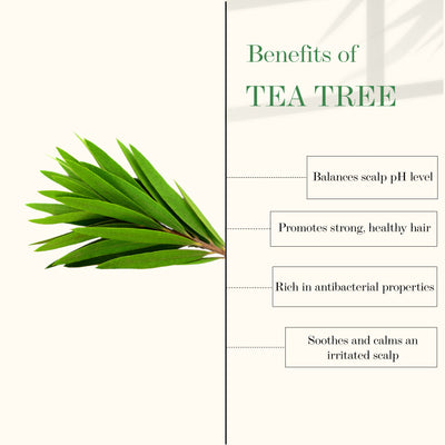 good-vibes-tea-tree-and-rosemary-anti-dandruff-hair-oil-100-ml-14-4