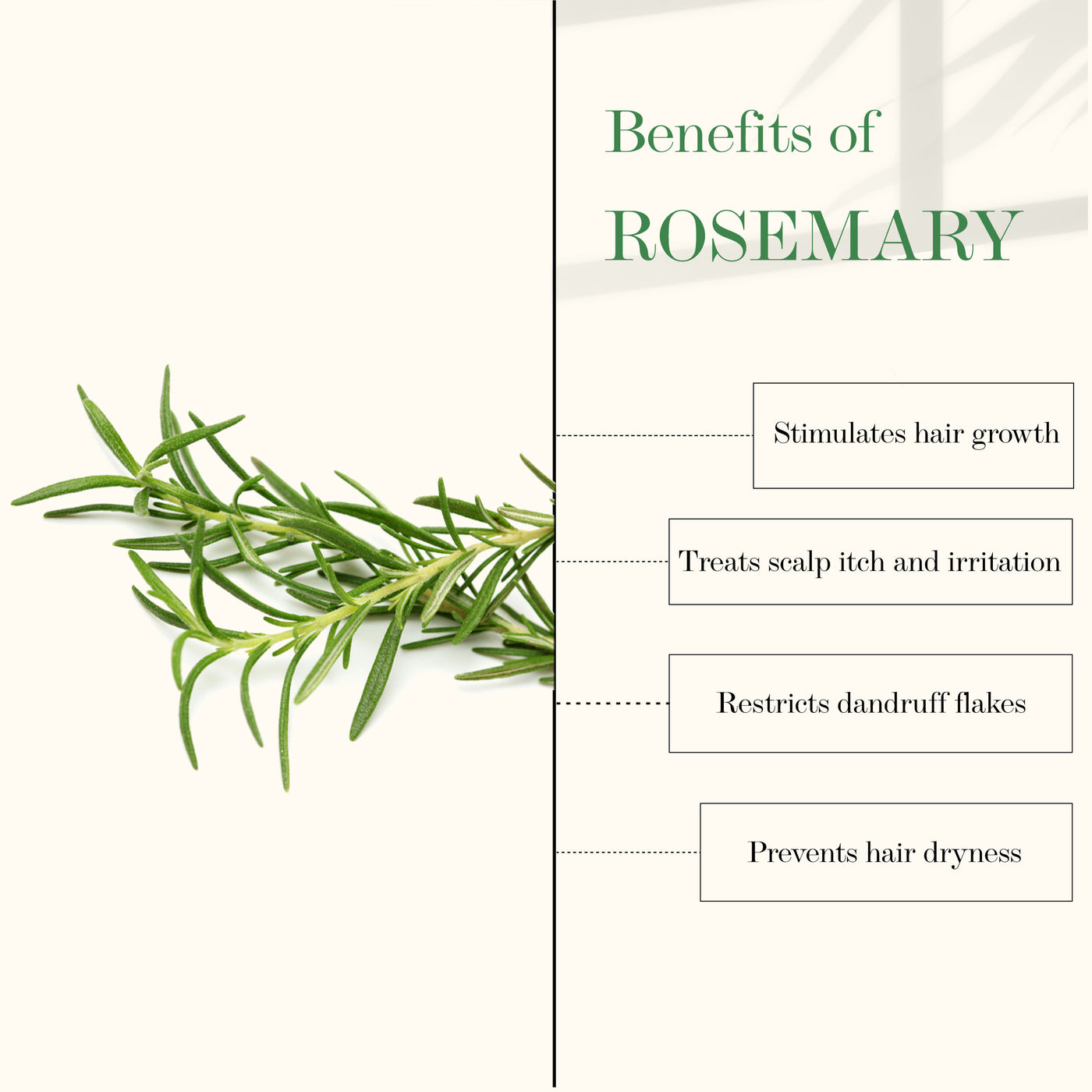 good-vibes-tea-tree-and-rosemary-anti-dandruff-hair-oil-100-ml-14-5