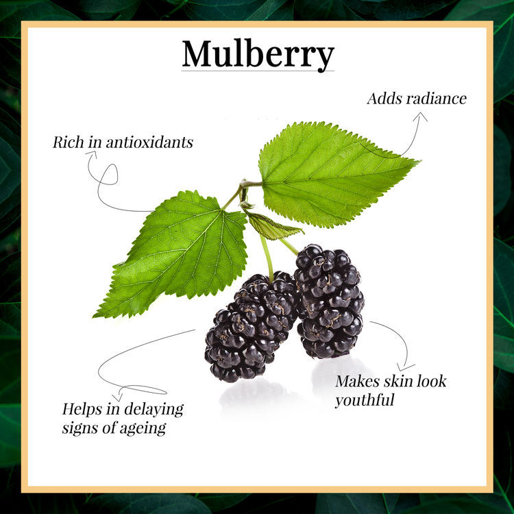 Good Vibes Glow Toner - Mulberry (120 ml) - 2