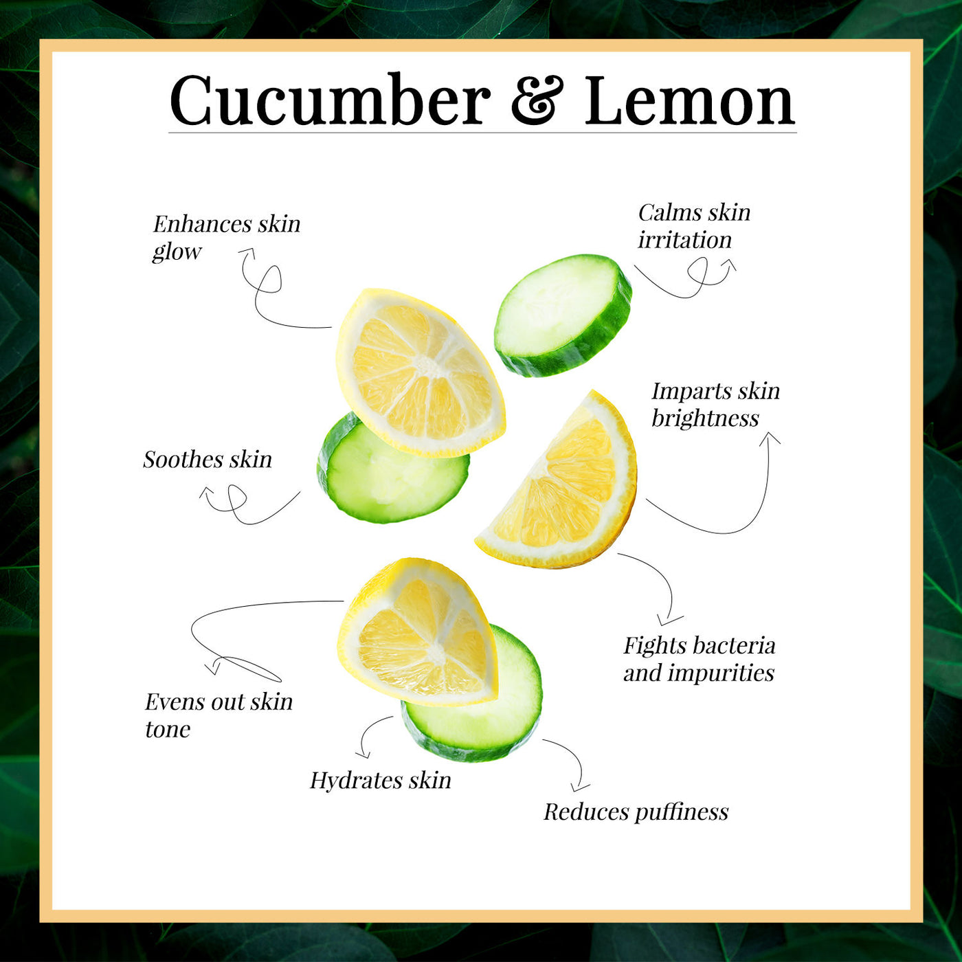 Good Vibes Under Eye Serum - Cucumber and Lemon (10 ml) - 3