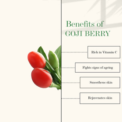 good-vibes-vitamin-c-and-goji-berry-depigmentation-and-wrinkle-balancing-face-serum-10-ml-4